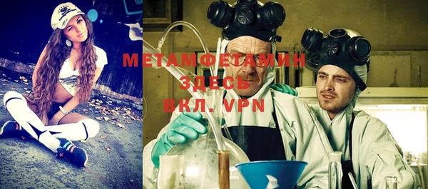 шишки Магадан