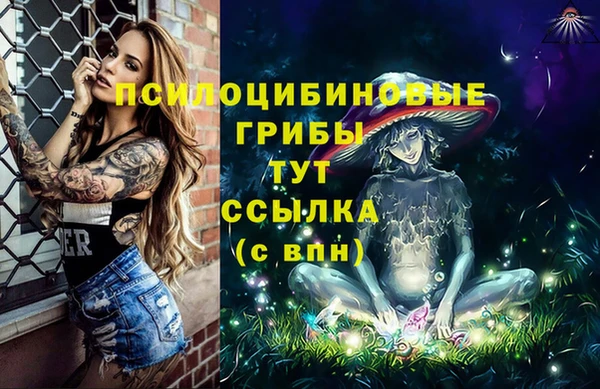 герыч Майский