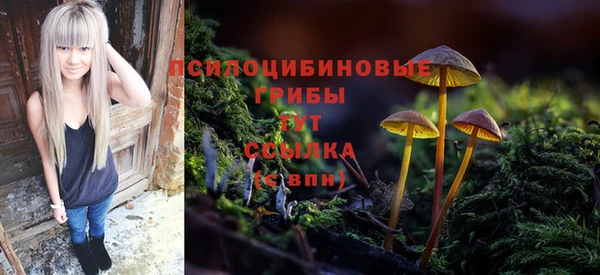 хмурый Магас