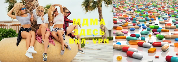 хмурый Магас
