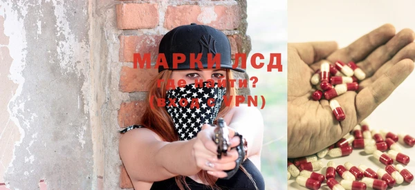 хмурый Магас