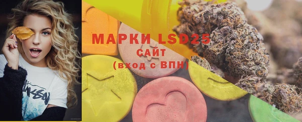 шишки Магадан