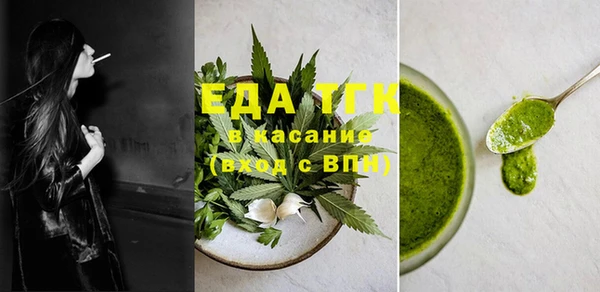 хмурый Магас