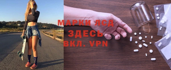 хмурый Магас