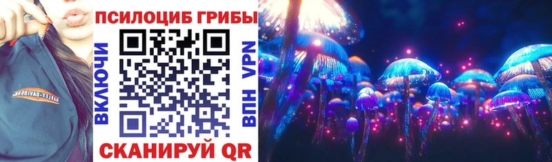 Галлюциногенные грибы Psilocybe  Купить закладки  Динская 
